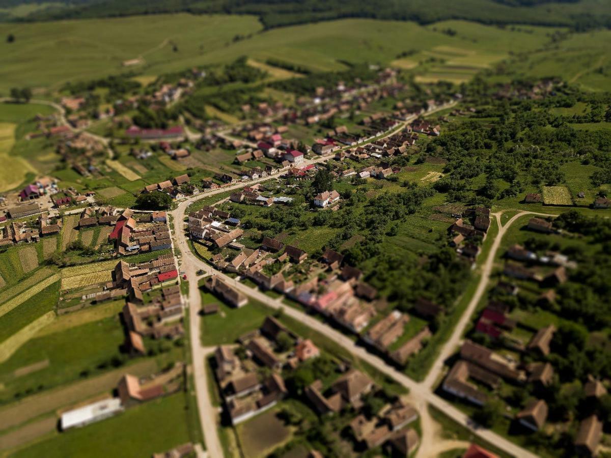 Willa House Of Seasons Bran  Zewnętrze zdjęcie