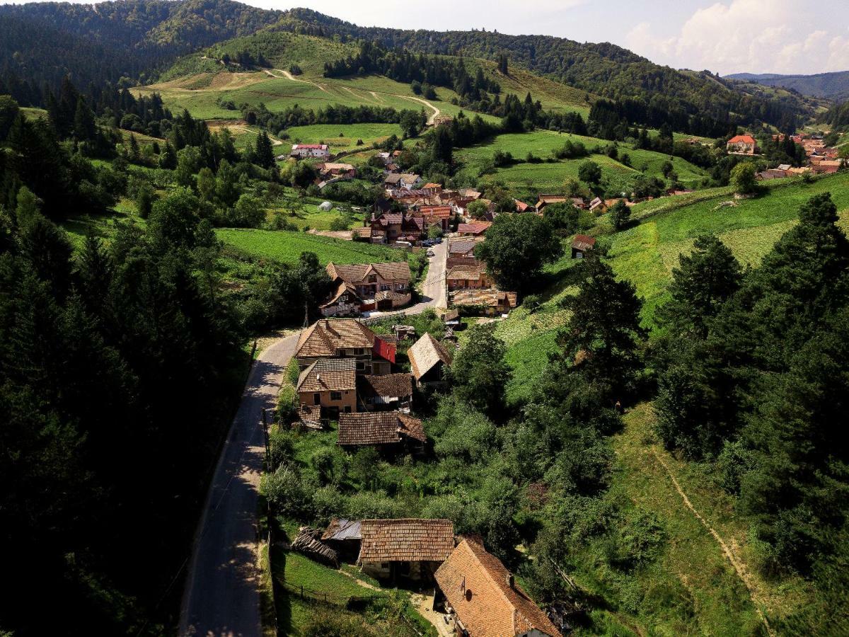 Willa House Of Seasons Bran  Zewnętrze zdjęcie